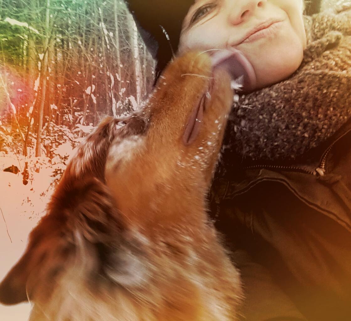 Spencer eine Seele von Hund 